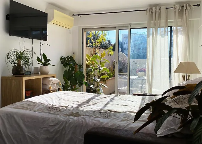 Apartment Lumineux Climatise Petit Jardin Et Parking *